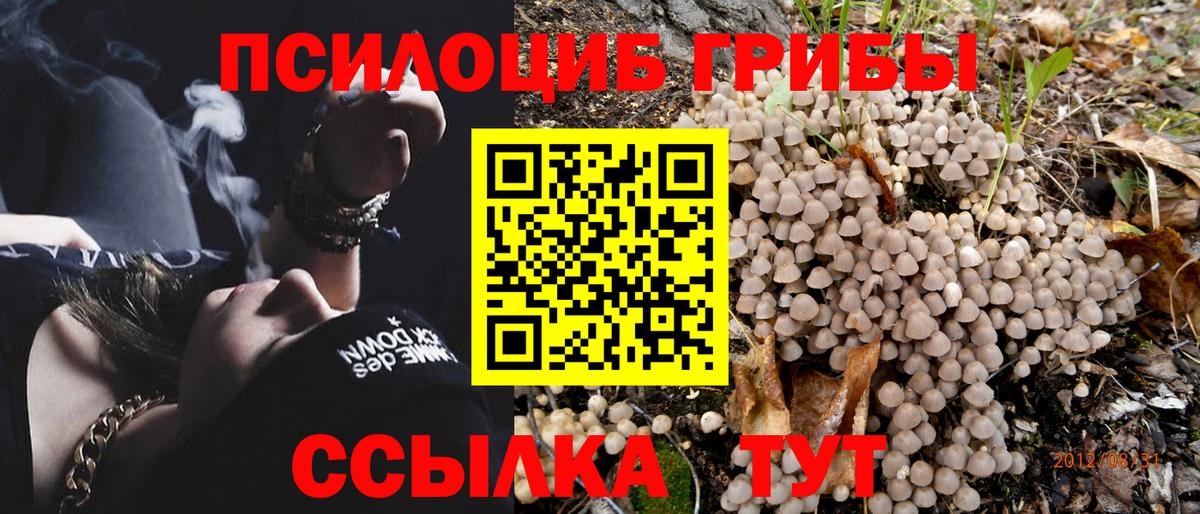 Псилоцибиновые грибы MAGIC MUSHROOMS Узловая